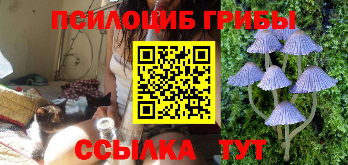 Павлово  Псилоцибиновые грибы мухоморы  Вход с VPN 